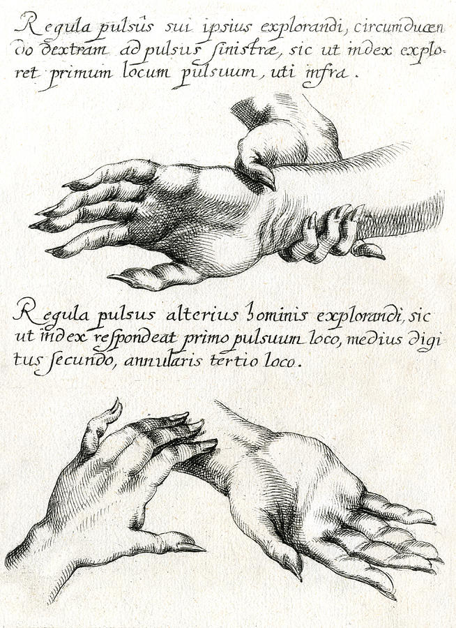 654x900 chinese theory of pulses using drawing - Drawing Theory