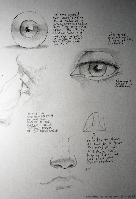 550x803 day - Drawing Theory