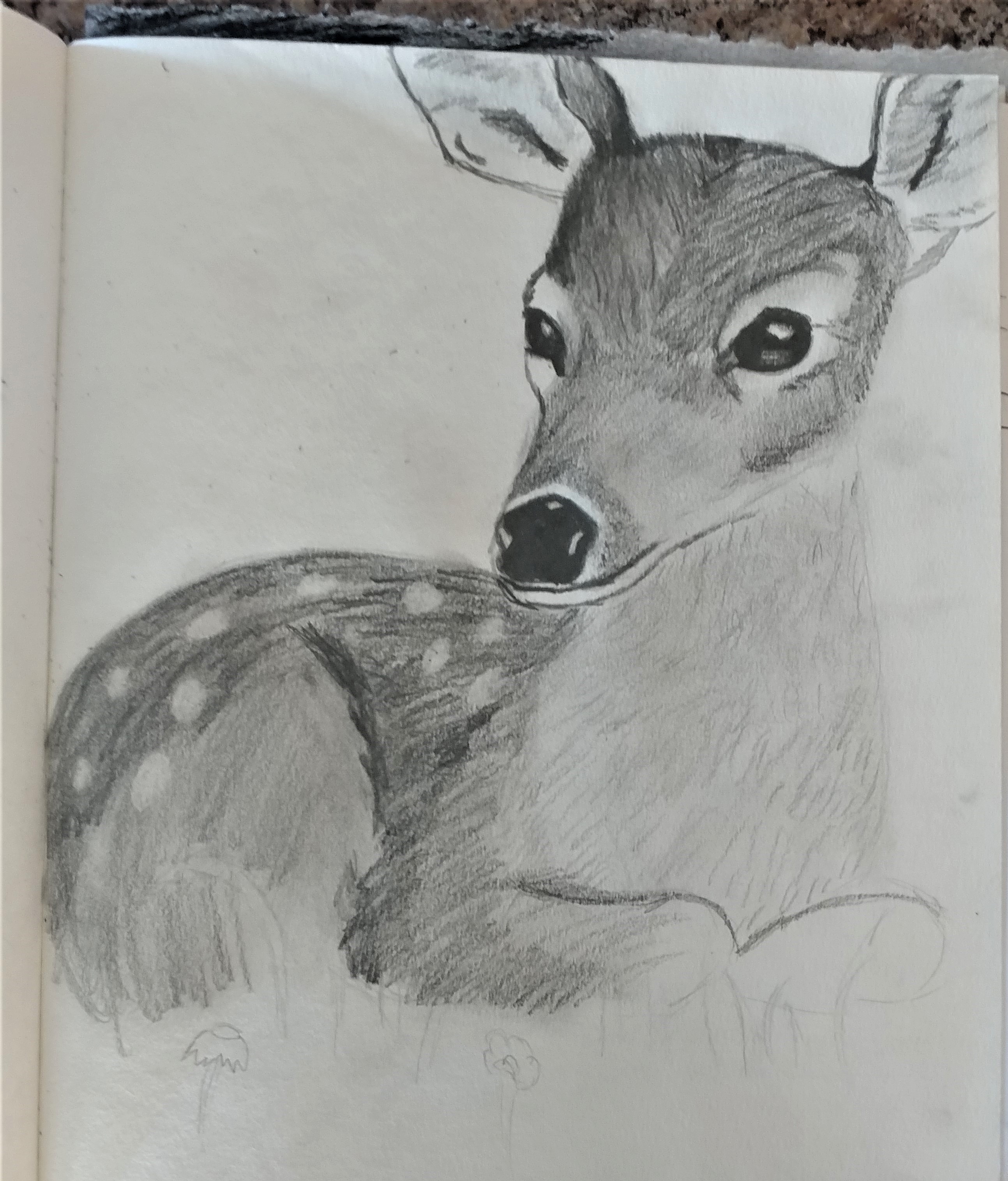 2587x3032 Drawing With Pencils Part Miki's Art Box - Drawing This