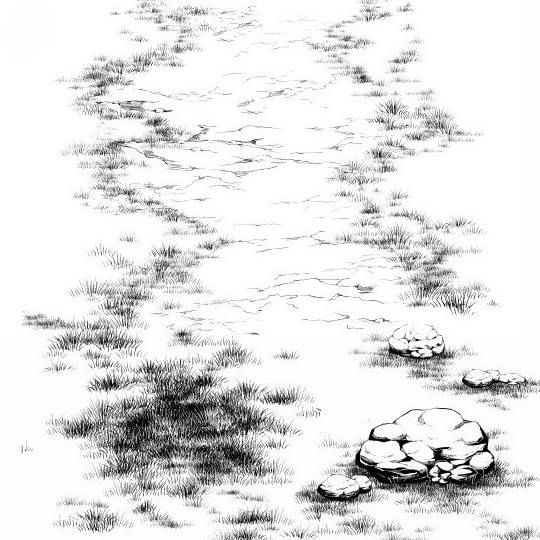 540x540 Simple Grass Brush Manga Materials - Drawing This