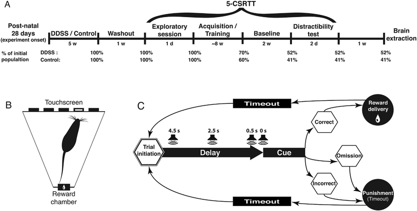 850x431 study design - Drawing Timeline