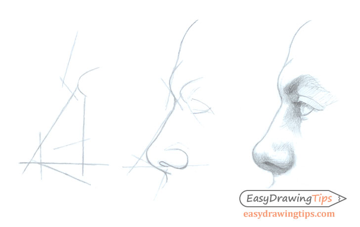 728x460 Step Nose Side View Drawing Tutorial - Drawing Tips
