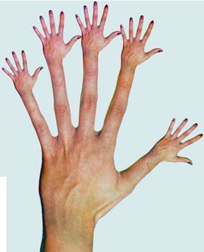 415x512 How To Draw Hands How To Paint Hands - Drawing To Paint