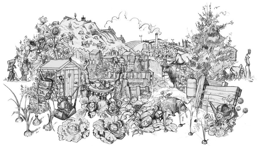 900x506 initial pencil drawings for an allotment picture - Drawing To Paint