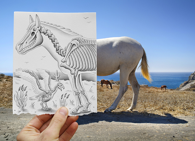 640x465 imagination vs reality, drawing vs photography, pencil vs camera - Drawing To Reality