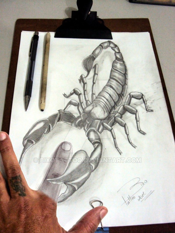 600x800 scorpion drawing from reality - Drawing To Reality