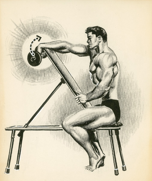 507x600 vintage weider training drawings joe weider - Drawing Training