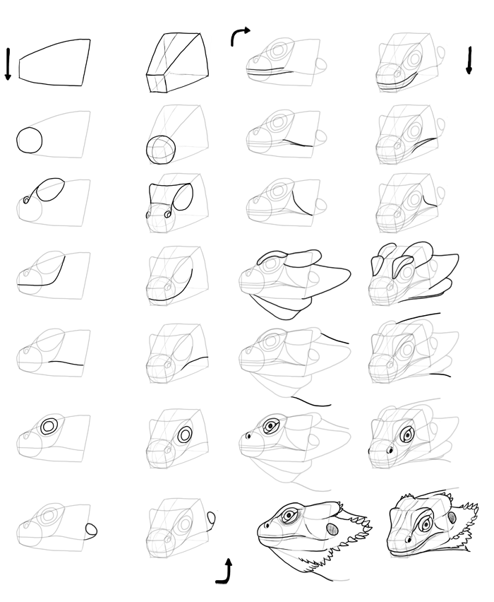 700x852 How To Draw Lizards - Drawing Transition