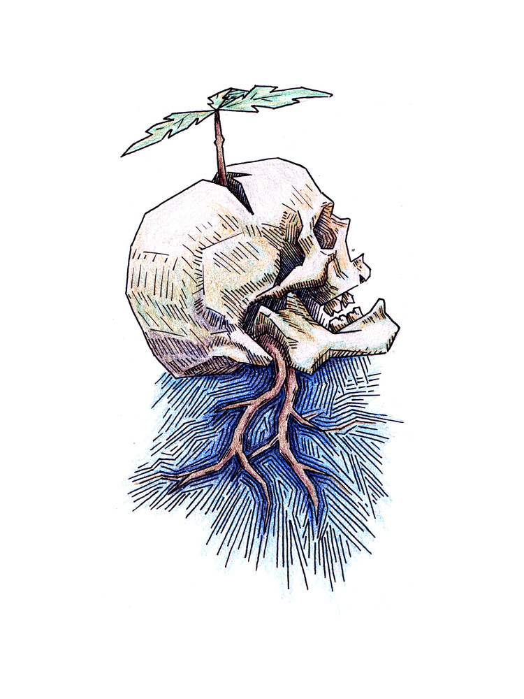 750x1000 Veil Of Transition - Drawing Transition