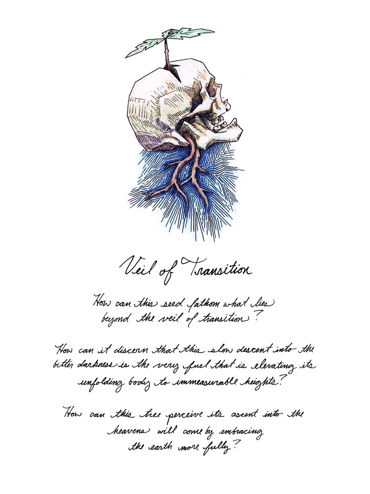 750x1000 Veil Of Transition - Drawing Transition