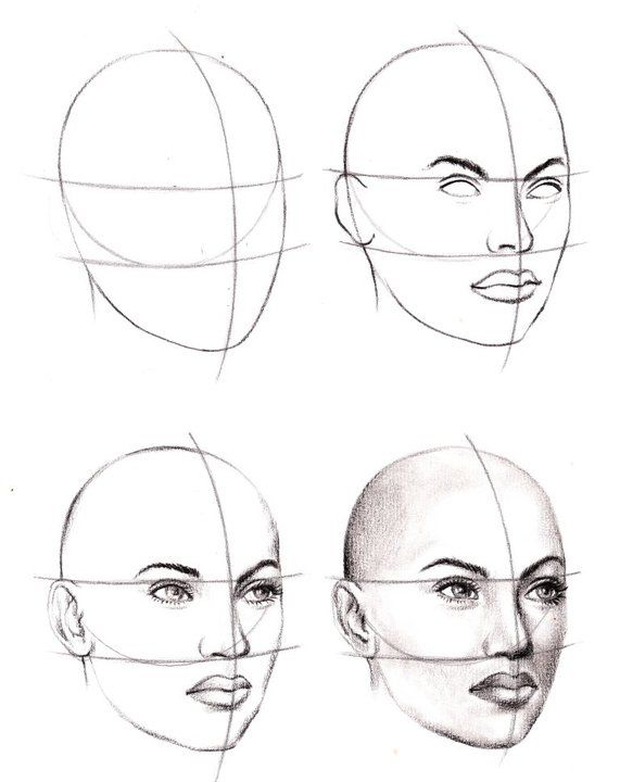 Drawing Tutorials For Beginners