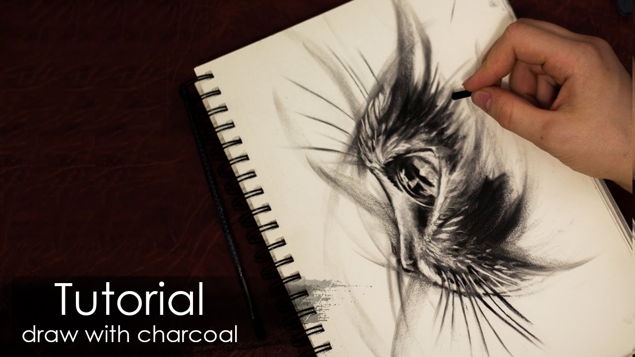 1280x720 Tutorial How To Draw A Cat With Charcoal And Pencil - Drawing Using Charcoal Pencil