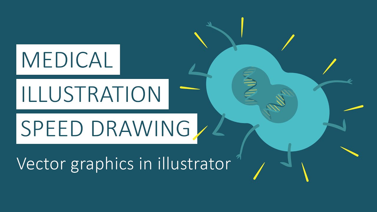 1280x720 Medical Illustration Speed Drawing - Drawing Vector Graphics