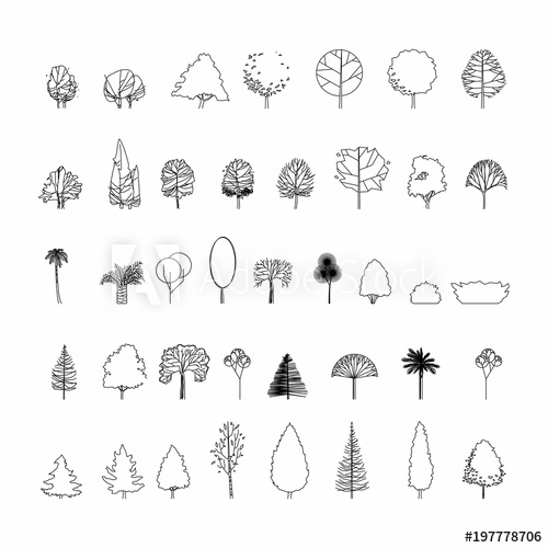 500x500 top view and side view, set of graphics trees elements outline - Drawing Vector Graphics