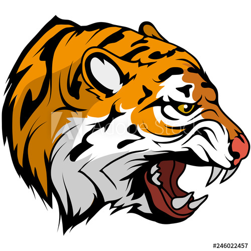 500x500 Tiger Head Vector Drawing, Tiger Face Drawing Sketch, Tiger Head - Drawing Vector Graphics