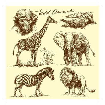368x368 Hand Drawing Wild Animals Free Vector Download - Drawing Vectors
