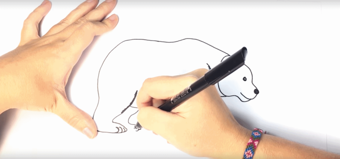 1344x627 How To Draw A Polar Bear For Kids - Drawing Videos