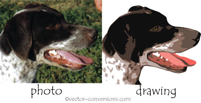 648x334 Raster Photographs Vs Vector Drawings - Drawing Vs Drawing