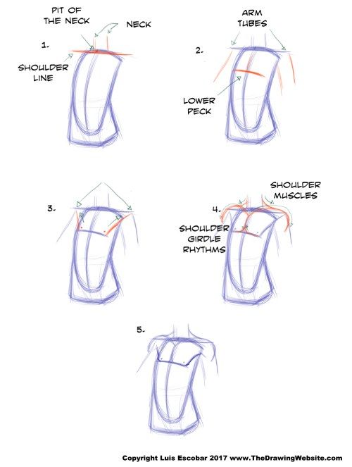 500x663 Cartoon Body Formulasthe Drawing Website The Drawing Website - Drawing Websites