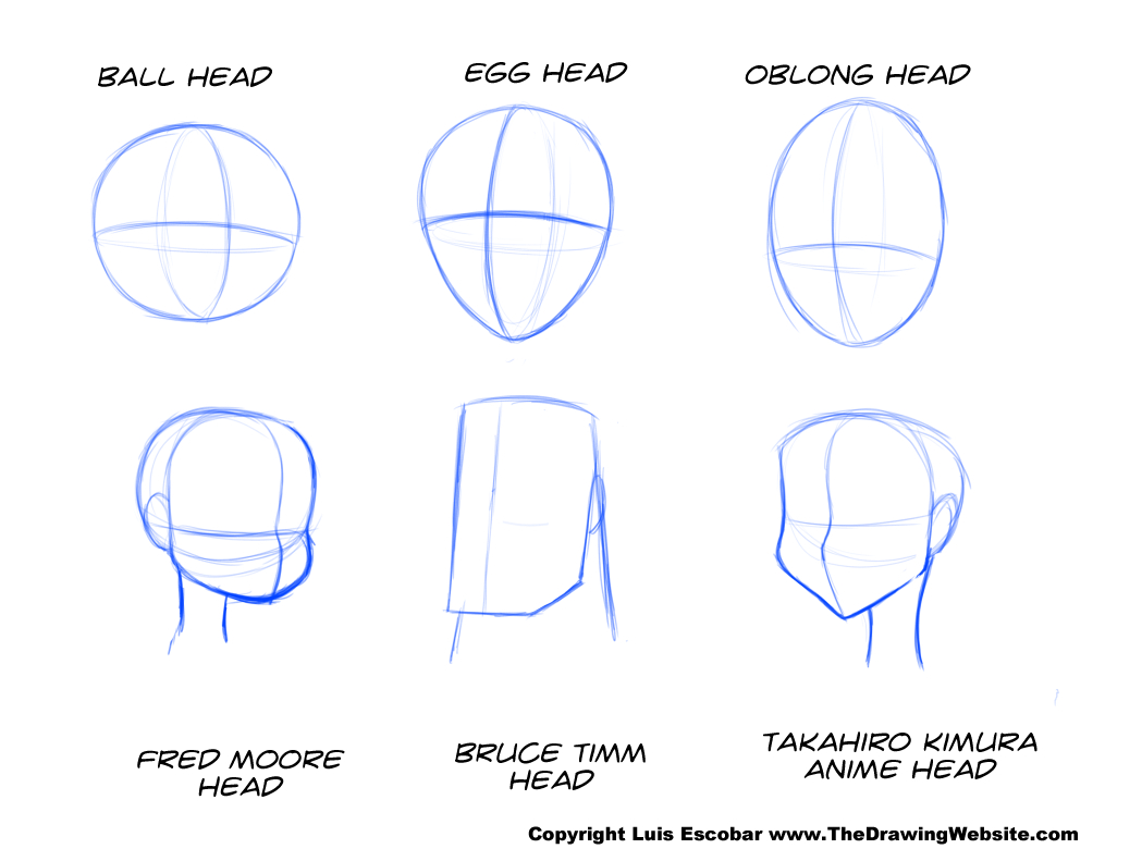 1049x791 Head Drawing Shapes The Drawing Website - Drawing Websites