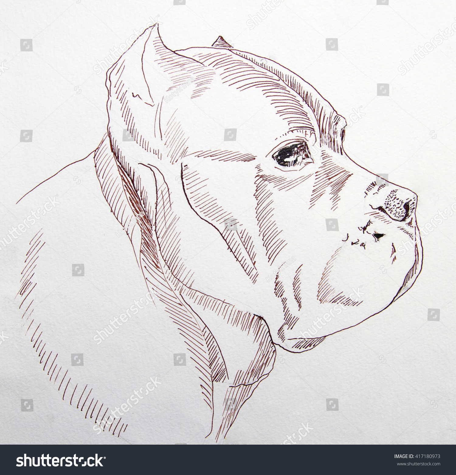 1500x1564 Portraits Pencil Sketch Dogs To Draw - Drawing Websites