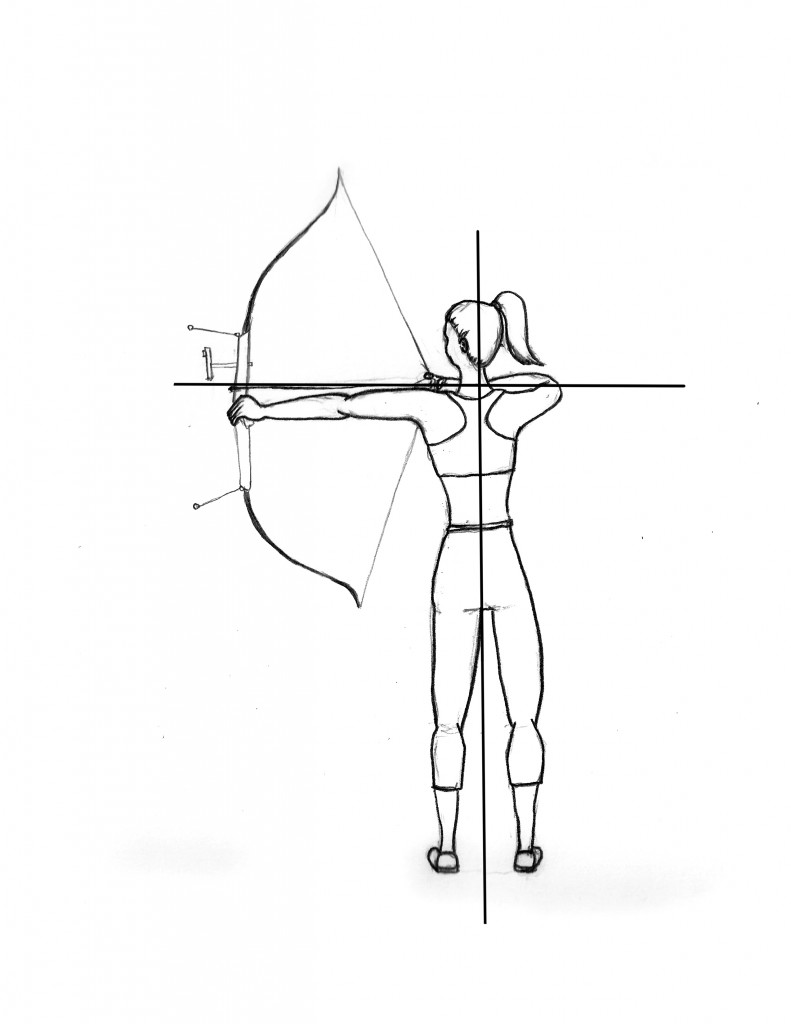791x1024 transfer the draw weight to your back muscles - Drawing Weight