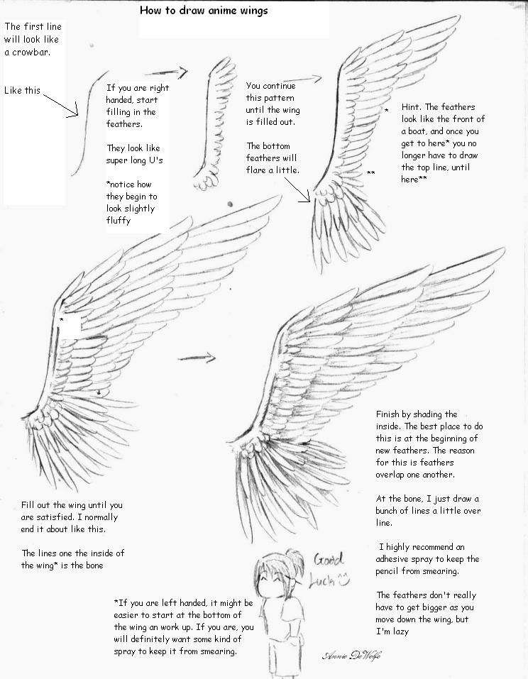 744x957 Drawing Tutorial For Wings I Love How - Drawing Wings Tutorial