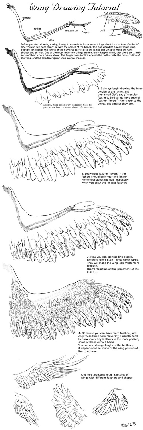 500x1500 Drawings Sources - Drawing Wings Tutorial