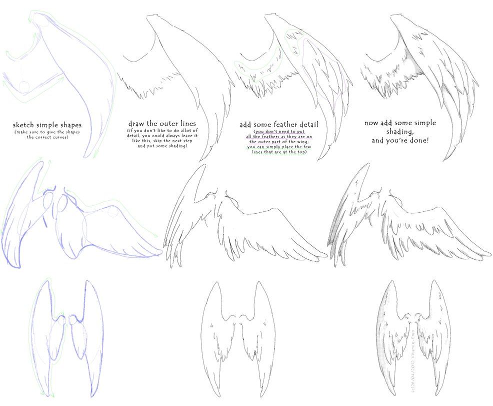 Drawing Wings Tutorial At Paintingvalley Com Explore Collection