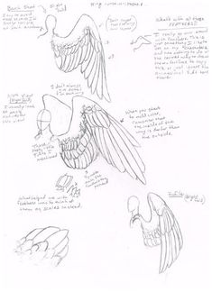 Drawing Wings Tutorial at PaintingValley.com | Explore collection of ...