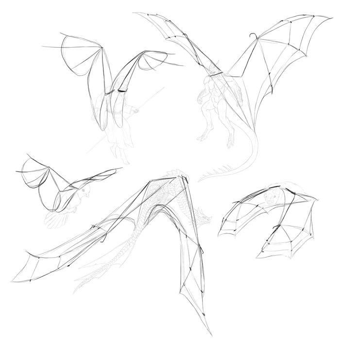 700x706 How To Draw And Animate Wings Birds, Bats, And More - Drawing Wings Tutorial
