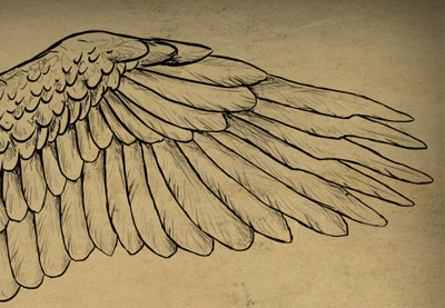 400x277 Taking Flight A Beginner's Guide Into Drawing Wings - Drawing Wings Tutorial