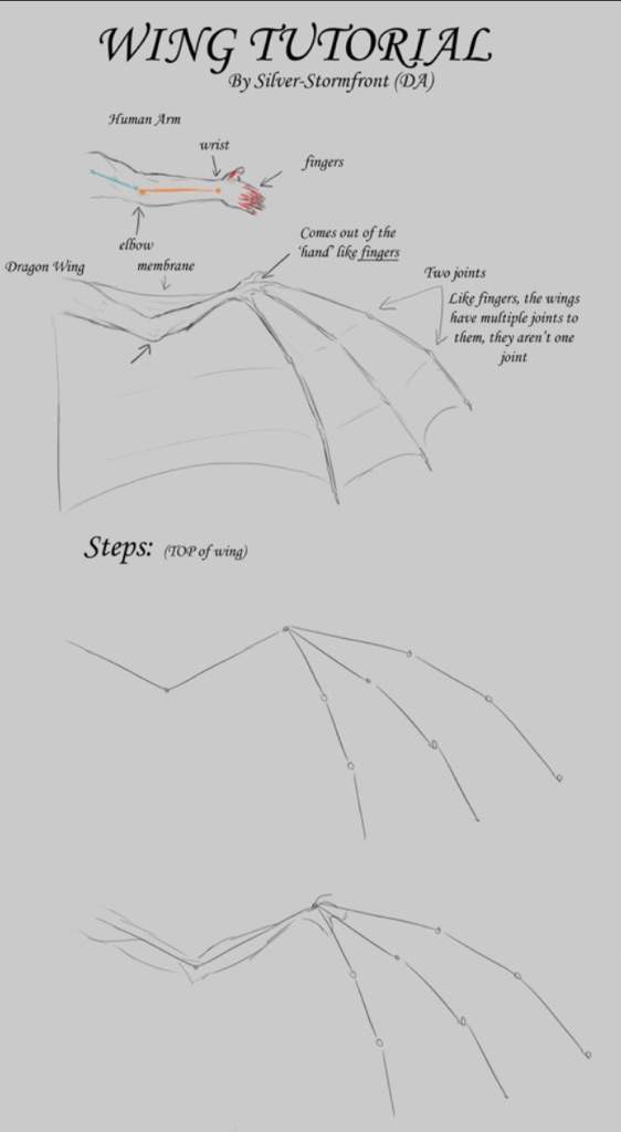 562x1024 Wing Tutorial Wings Of Fire Amino - Drawing Wings Tutorial
