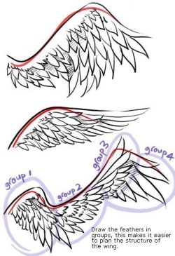 Drawing Wings Tutorial At Paintingvalley Com Explore Collection