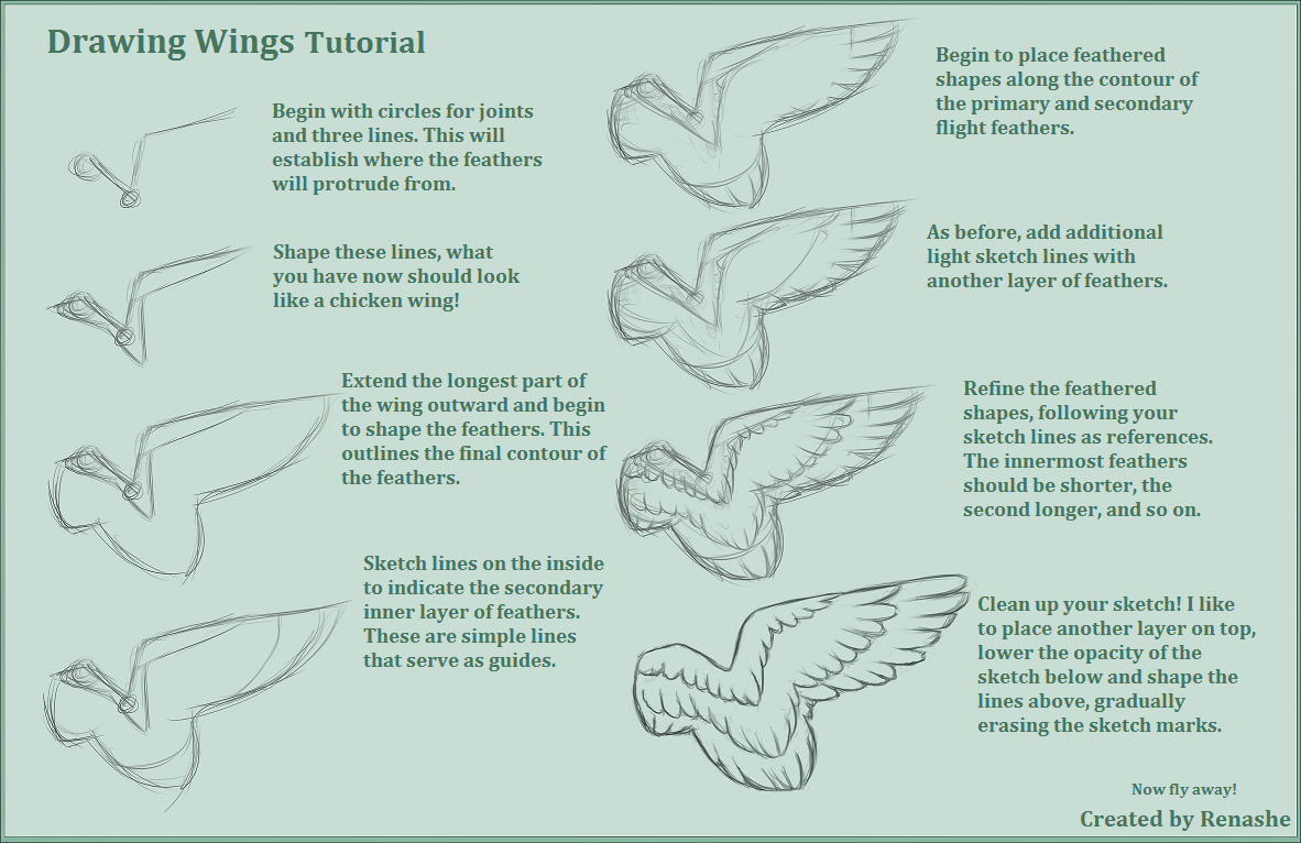 1182x766 Drawing Feathered Wings Tutorial Weasyl - Drawing Wings Tutorial