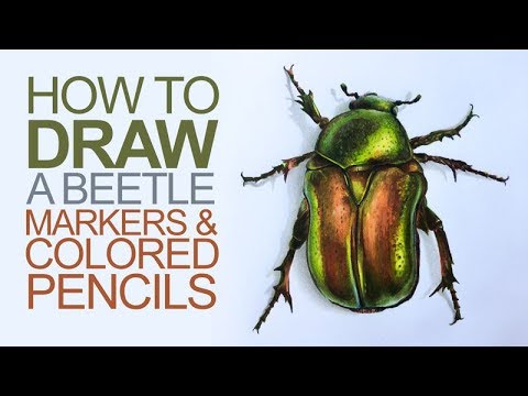 480x360 drawing with markers and colored pencils - Drawing With Colored Pencils Youtube