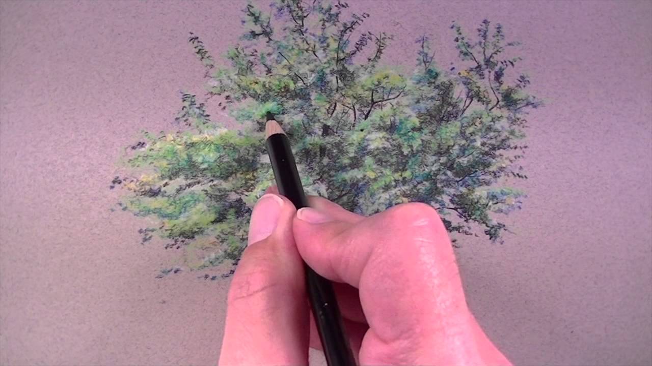 1280x720 how to draw a tree with colored pencils - Drawing With Colored Pencils Youtube