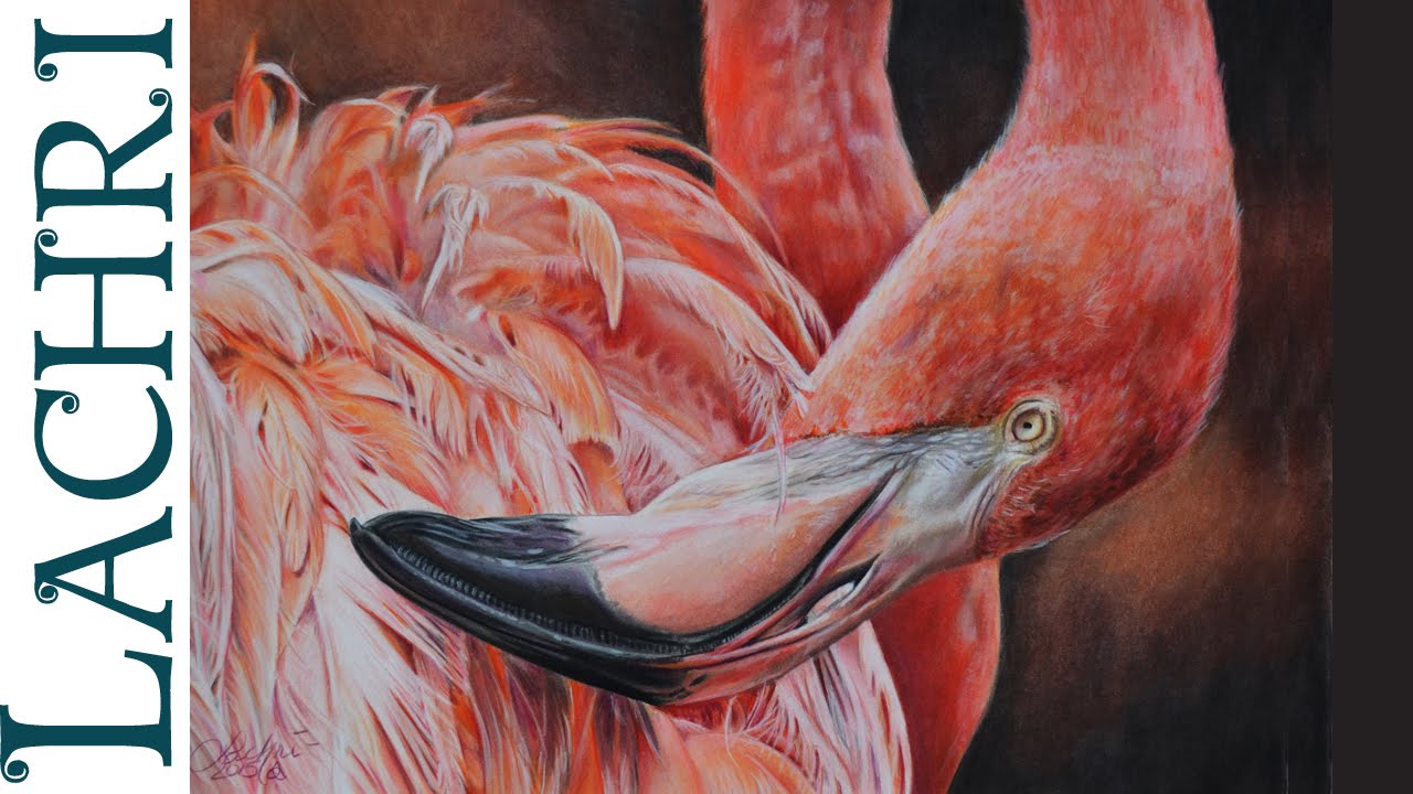 1280x720 Drawing A Flamingo In Colored Pencil - Drawing With Colored Pencils Youtube