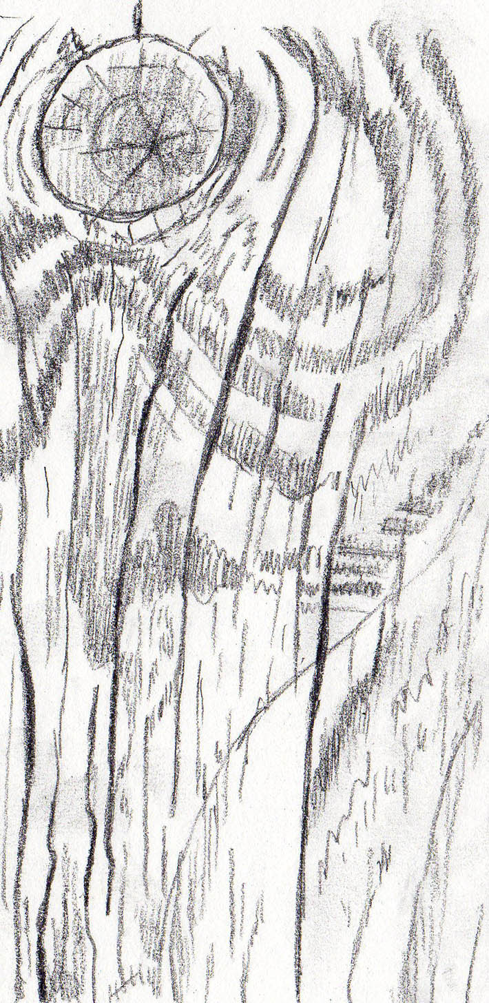 710x1456 How To Draw Wood In Simple Steps - Drawing Wood