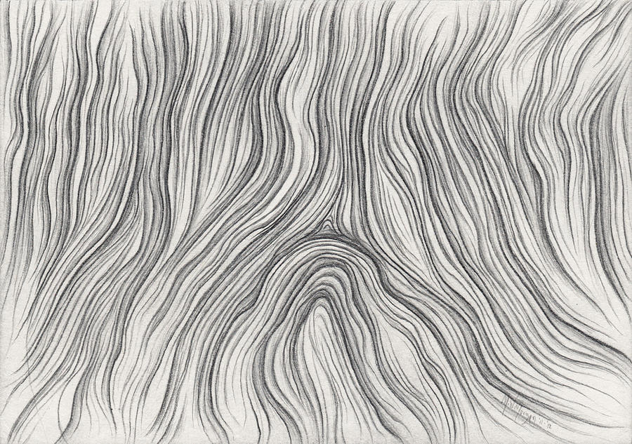 900x633 Recycled Wood Grain Drawing - Drawing Wood