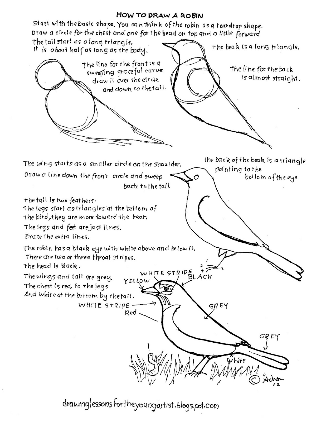 1237x1600 How To Draw Worksheets For The Young Artist How To Draw A Robin - Drawing Worksheets
