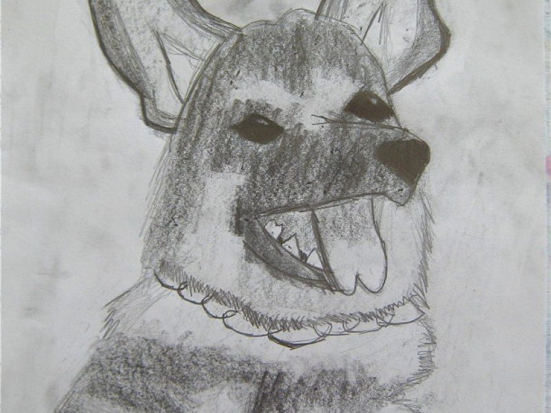 800x600 drawing and cartooning class for year olds studio art - Drawings For 9 Year Olds