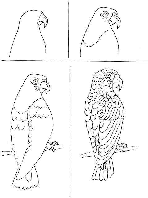 478x640 Parrot Tutorial Art Class Ideas Art Animals Art, Drawings - Drawings For Art Class