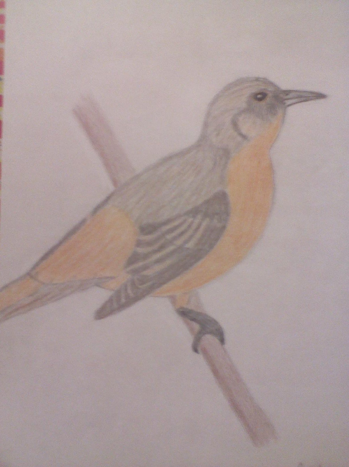 1195x1600 Sketch Drawings Images Pics I Made From Art Class Hd Wallpaper - Drawings For Art Class