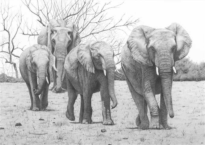 680x480 Pencil Drawings For Sale - Drawings For Sale