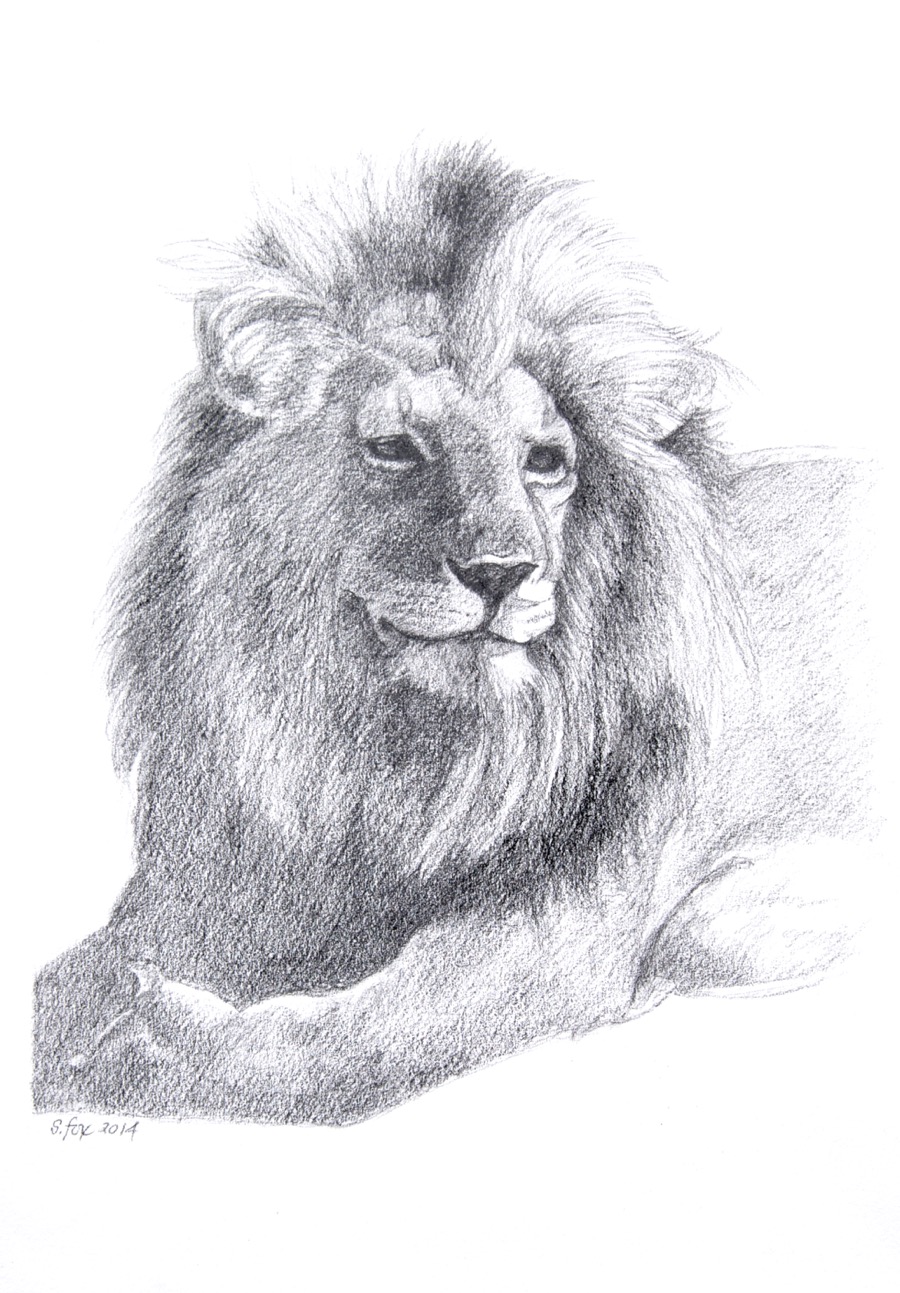 900x1293 The Days Of Drawings Sale Susan Fox - Drawings For Sale