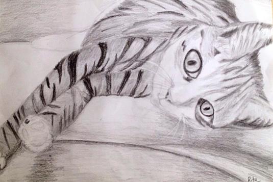 535x357 still life drawing for adults and teens - Drawings For Teens