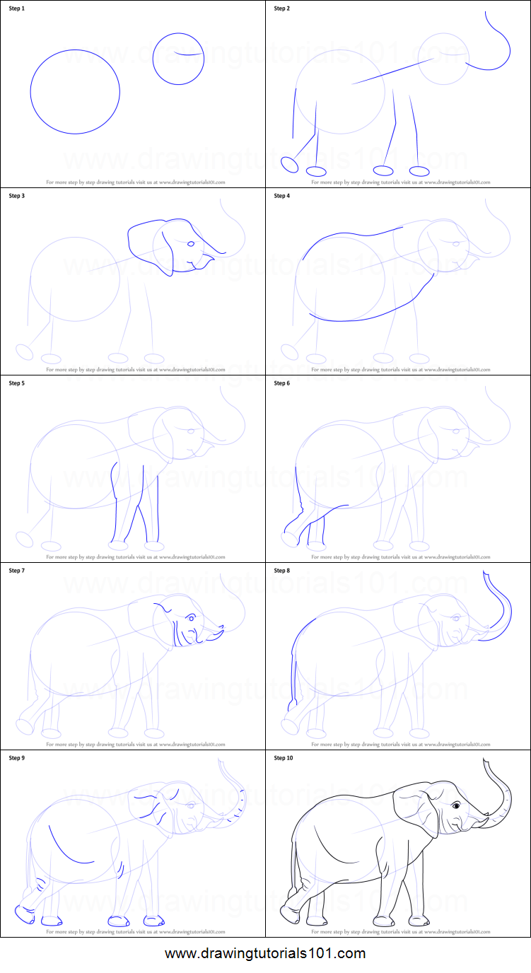751x1376 How To Draw An Elephant With Its Trunk Up Printable Step - Drawings Of Elephants With Trunk Up