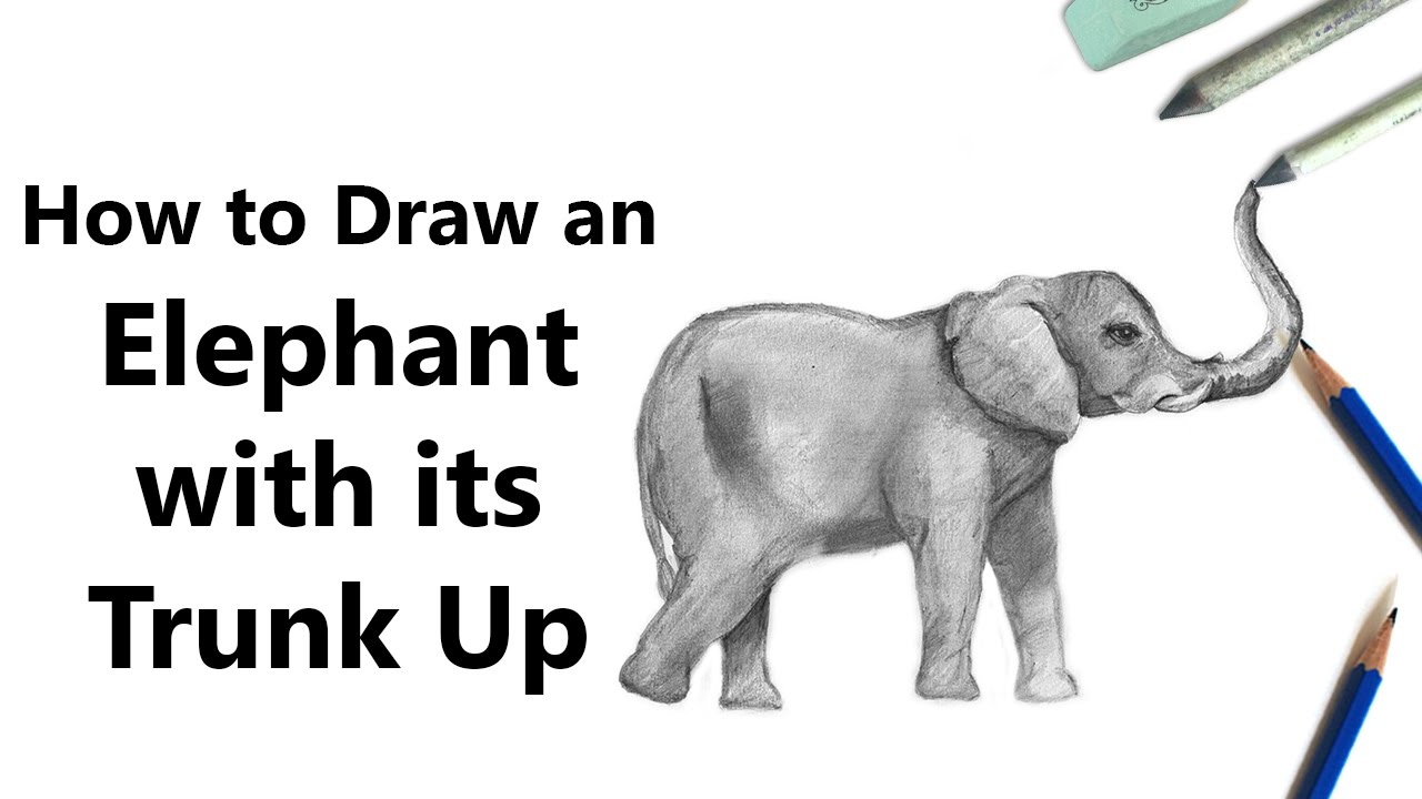 Drawings Of Elephants With Trunk Up at PaintingValley.com | Explore