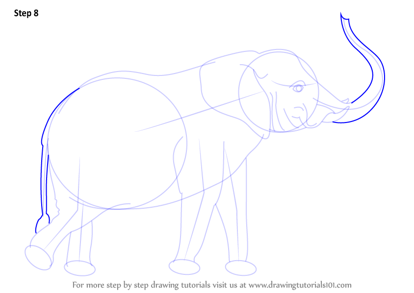 844x598 Learn How To Draw An Elephant With Its Trunk Up - Drawings Of Elephants With Trunk Up